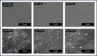 Biodegradability of Chitosan Nanoparticles
