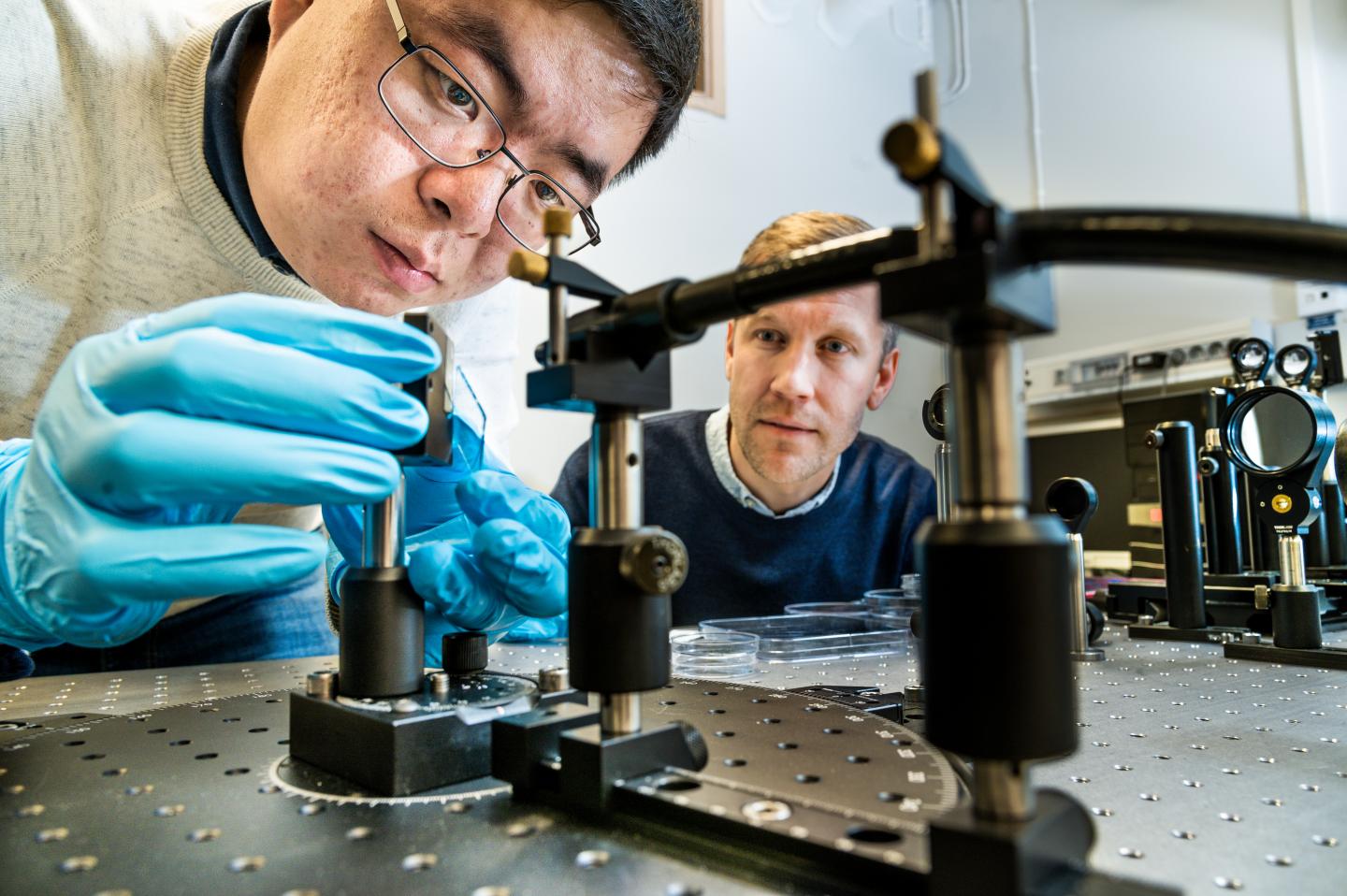 Plasmones-Shangzhi Chen Magnus Jonsson