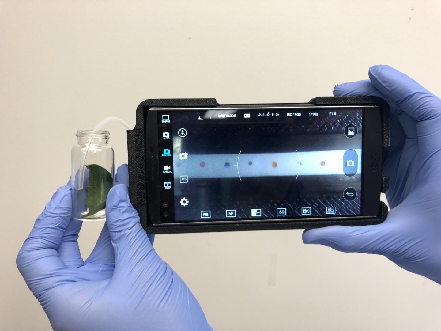 Smartphone Tech Can ID Plant Diseases In The Field