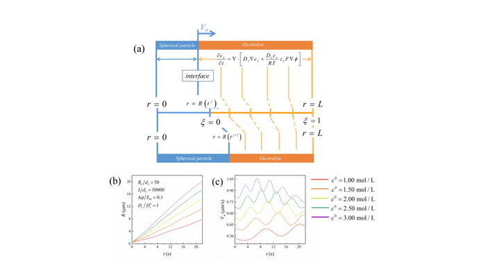 (a)Mesh adaptive change of the Landau transformation method;Predicted particle radius (a) and growth velocity (b) with time for various electrolyte solution concentration.  Image caption: Numerical calculation model and numerical result.