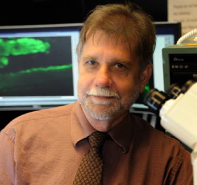 Dr. Paul McNeil, Georgia Health Sciences University