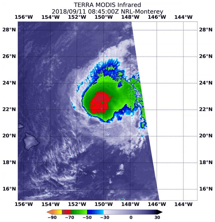 Terra Image of Olivia