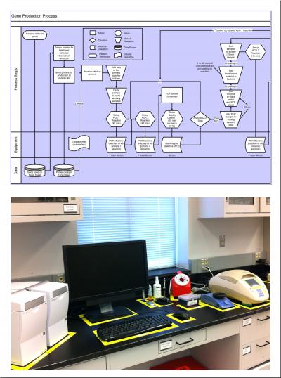 Gene Production Process