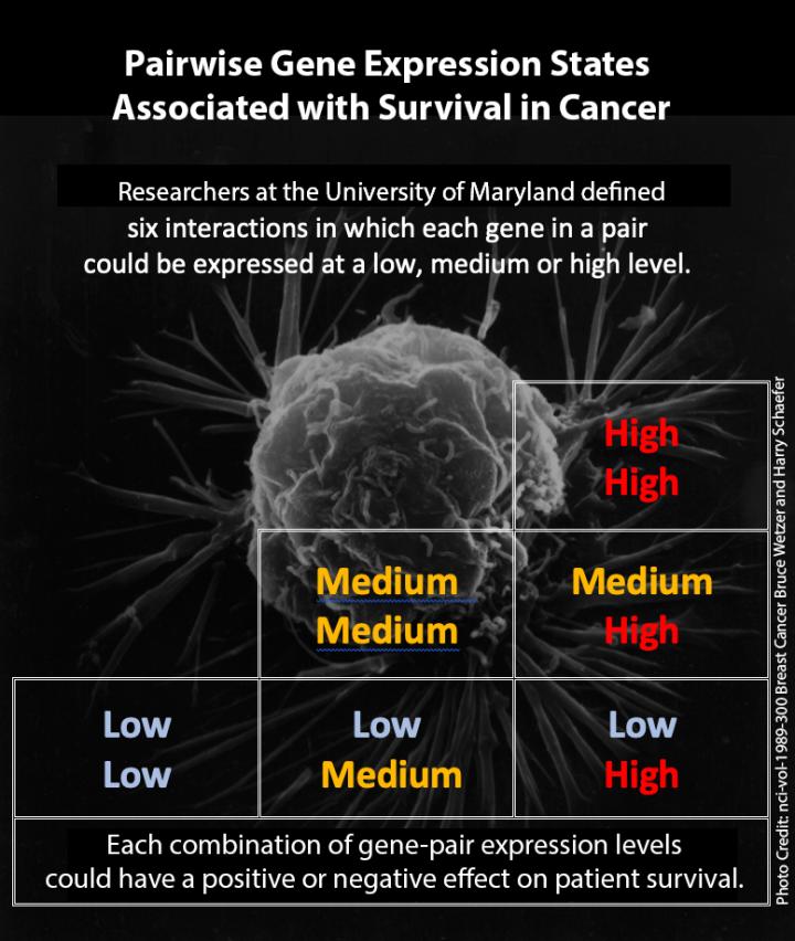 Gene Expression Analysis