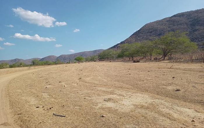 Restoration of degraded areas in semi-arid region contributes to ‘return’ of soil microorganisms