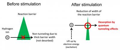 A New Chemical Reaction Pathway in Titanium Dioxide (2 of 2)