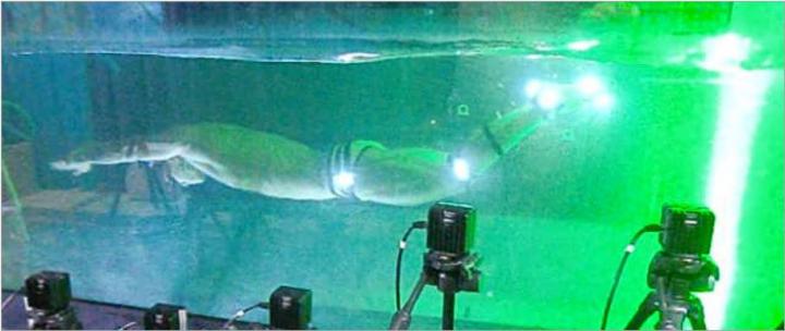 Getting an 'Eel' for the Water: The Physics of Undulatory Human Swimming