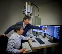 Gang Ren and Lei Zhang, 	DOE/Lawrence Berkeley National Laboratory 