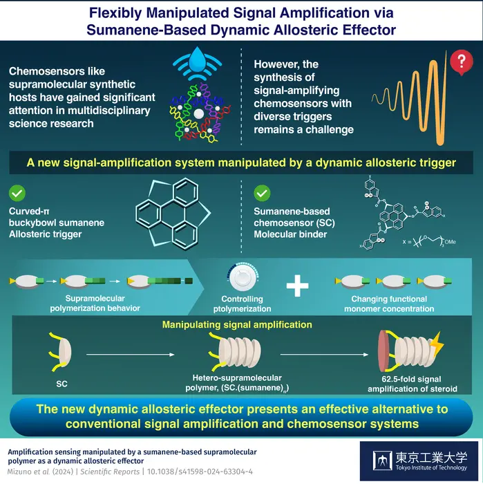 Flexibly Manipulated Signal Amplification via Sumanene‑Based Dynamic Allosteric Effector