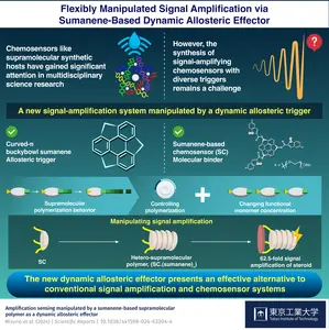 Flexibly Manipulated Signal Amplification via Sumanene‑Based Dynamic Allosteric Effector