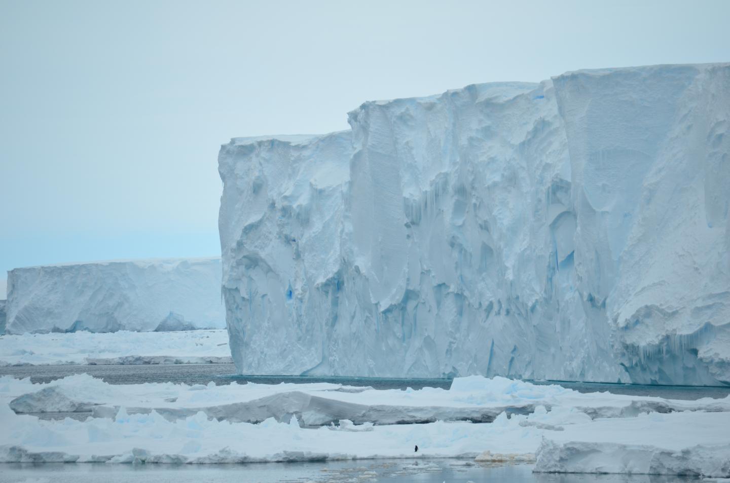 Mertz Glacier, January 2017 