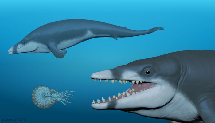 Tutcetus rayanensis: Hunting and Swimming in the Ancient Ocean