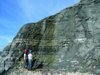 Geologists studying the Lower Jurassic (Pliensbachian) Belemnite Marl Member in Dorset, UK