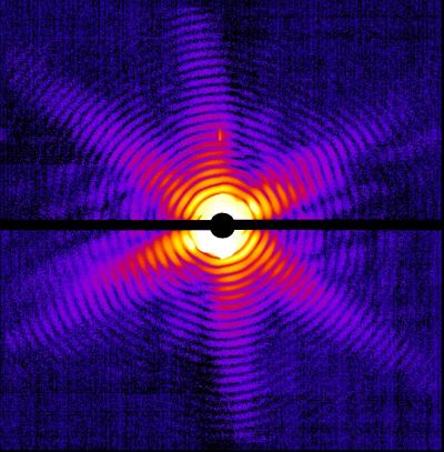 First Single-shot Images of Intact Viruses