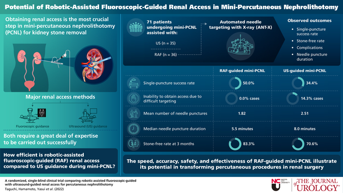 Robotic-assisted fluoroscopic-guided renal access for percutaneous nephrolithotomy