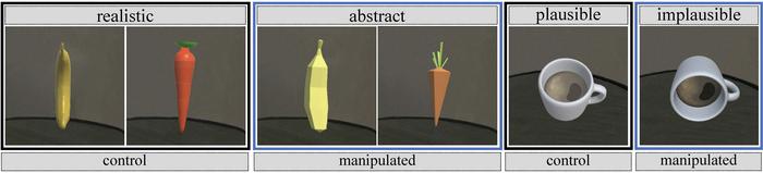 Example of presence and plausibility illusion