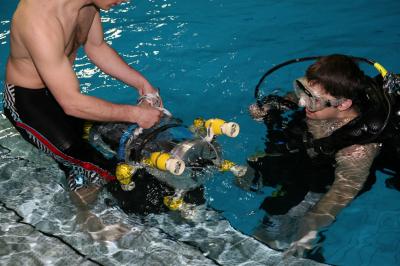 Snookie in the Test Tank