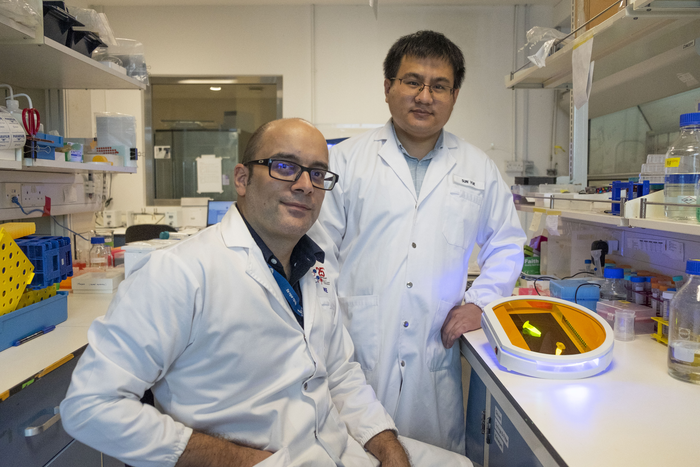 NTU Singapore scientists develop novel “Trojan horse” drug delivery system using protein-based microdroplets