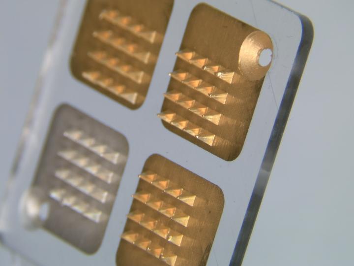 Microneedle Biosensor