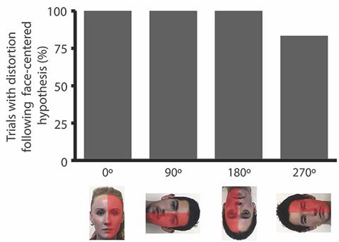 Stimulus examples and data on perception of distorted faces