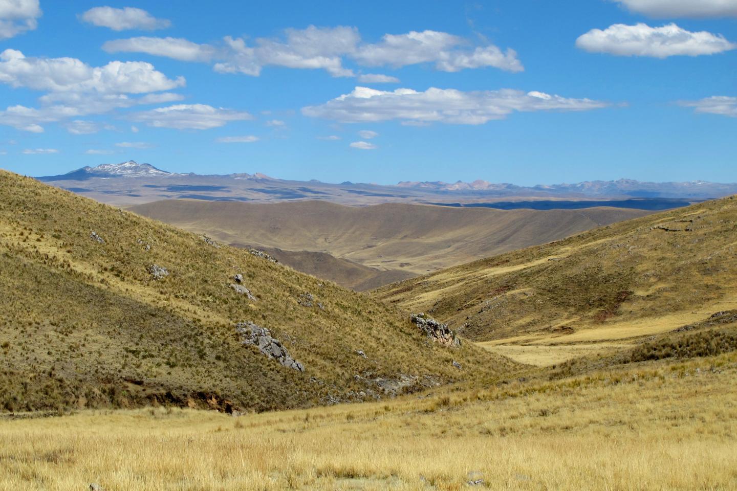 Andean Highlands
