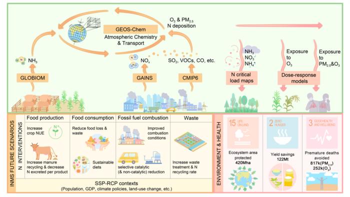 An integrated modelling framework assesses how ambitious nitrogen interventions can reduce ammonia and nitrogen emissions