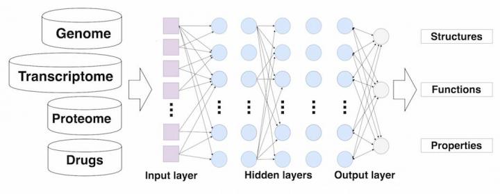 Deep Neural Networks