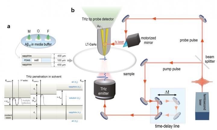 Figure 2. Experimental Setup