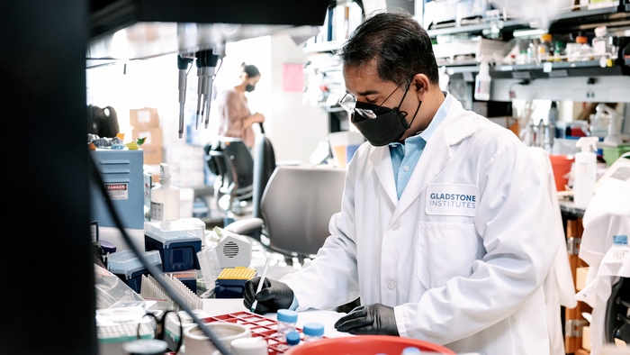 Gladstone scientist Swetansu Hota working in the lab