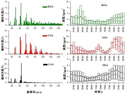 Organic Aerosol Observations