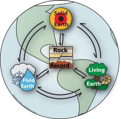 Teasing Biodiversity Patterns From the Fossil Record (1 of 6)