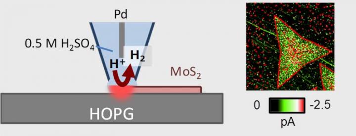 Figure 1. [TOC Image]