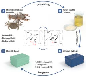 Chitin hydrogel preparation