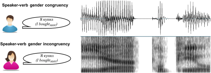 Example of an experimental stimulus