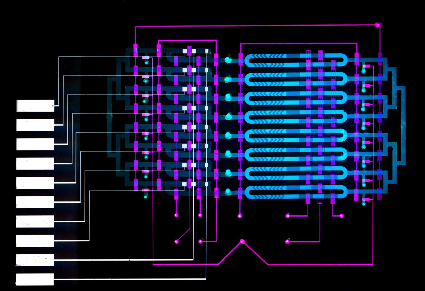 Biosensor Chip