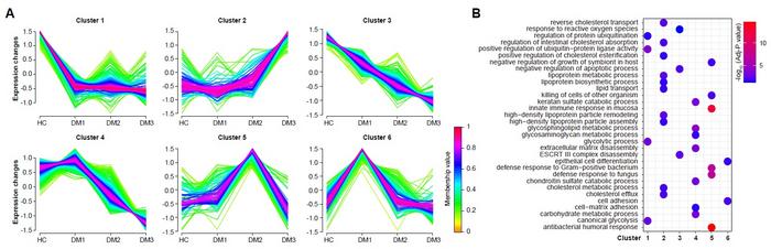 Dynamics analysis of urinary proteome during DKD progression