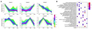 Dynamics analysis of urinary proteome during DKD progression