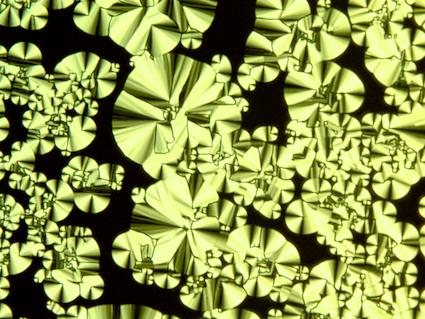 Microscopic View of CLCs