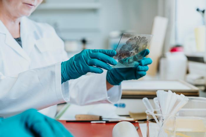 Lab work for the digital human [IMAGE] | EurekAlert! Science News Releases