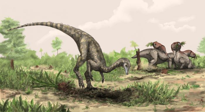 An artist’s illustration of Nyasasaurus