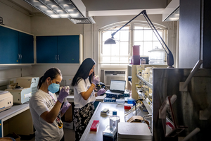 Researchers in laboratory.