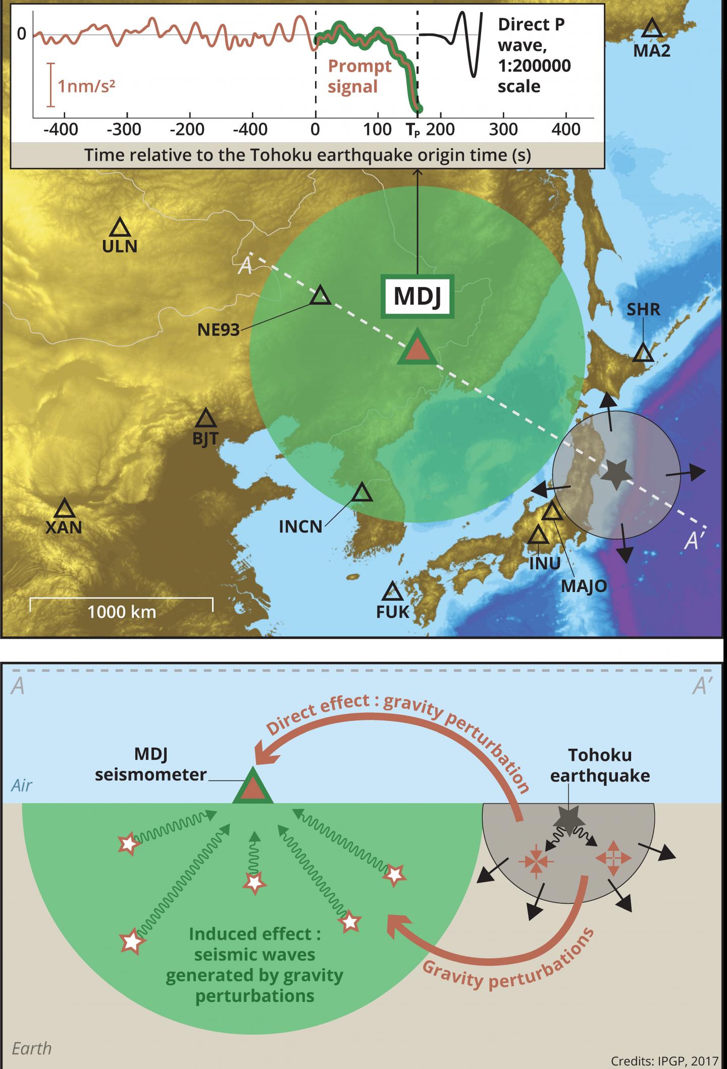 Gravity: A Faster Method for Gauging the Size of Great Quakes