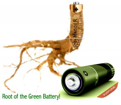 Madder root (<i>Rubia</i> sp.) Produces a Dye Powder, Purpurin, to Make a Green Battery