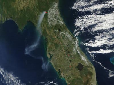 Northern Florida's County Line Fire Consumed Almost 35,000 Acres