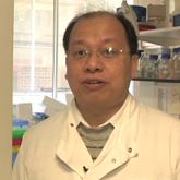 Yaohe Wang, Queen Mary University of London