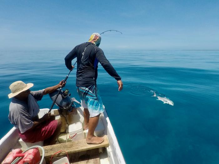 Reinforcing the Diverse Ways People Access Seafood Can Ensure Healthy Communities in the Face of Change