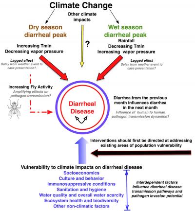 Diarrheal Disease