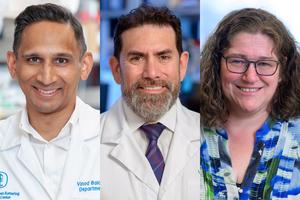 Memorial Sloan Kettering Cancer Center expert - Vimarsana News