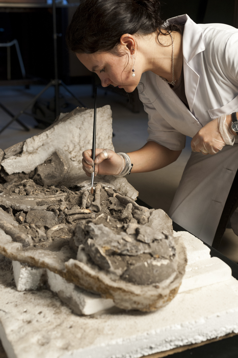 Rita Peyroteo Stjerna