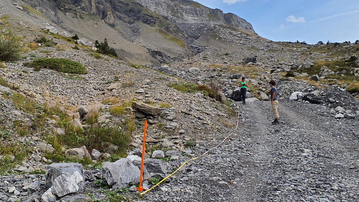 Alien plant species are spreading rapidly in mountainous areas